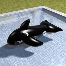 orca inflatable pool toy animal fish jilocasin kid killer mammal model water whale 3d print model - Mito3D