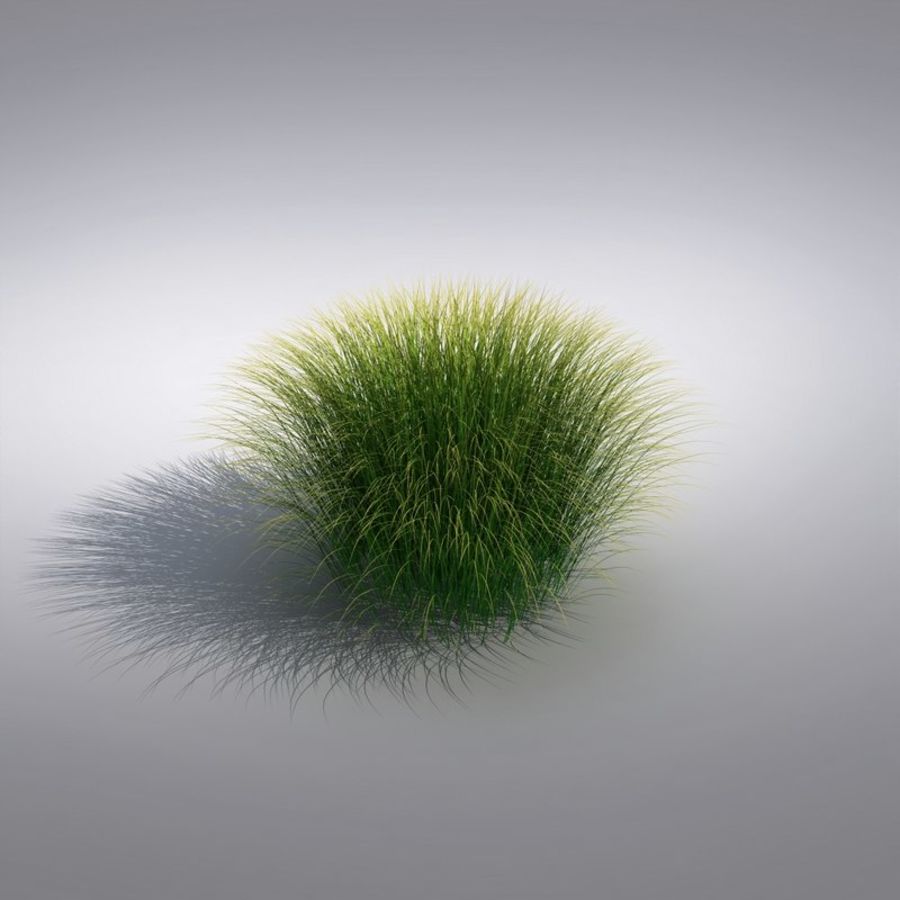 ornement de l'herbe graminoid l'usine 3D print model - Mito3D