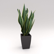 ornamentali, di piante in vaso grande decorativo arredamento mobili casa modello natura office ornamentali la pianta pot piccola studioegan 3d print model - Mito3D