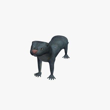 otter v03 animals printable lowpoly 3d print model - Mito3D