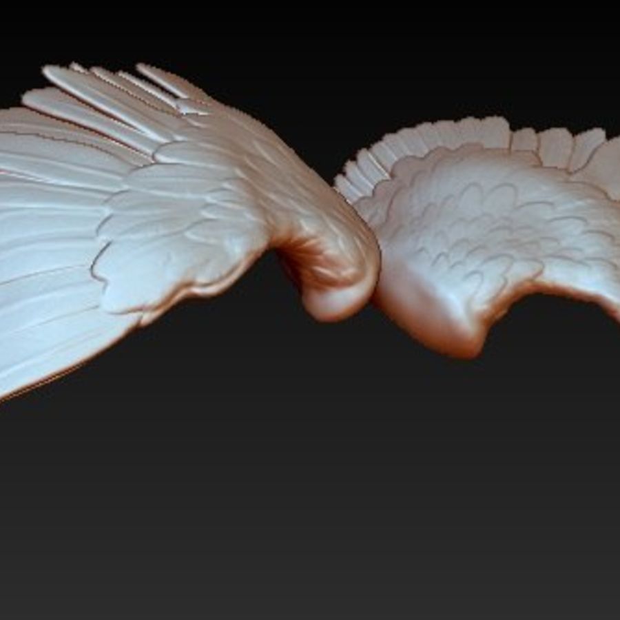 pair bird angel eagle animal wings 3dprinter architecture birdangeleagleanimal elements feather griffon gryphone lucky hunter 2008 model wing 3D print model - Mito3D