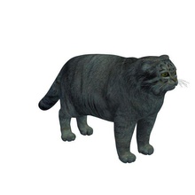 pallas cat v1 kedi hayvanlar yazdırılabilir lowpoly 3d print model - Mito3D
