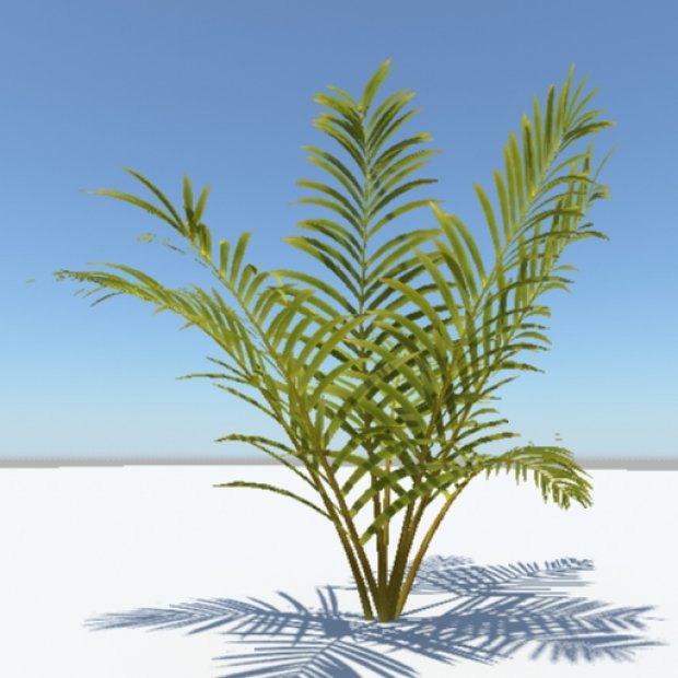 palm Pflanzen 3D print model - Mito3D