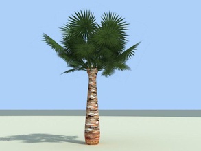 palm 012 coconut foilage green junmedina landscape plant tree vegetation 3d print model - Mito3D