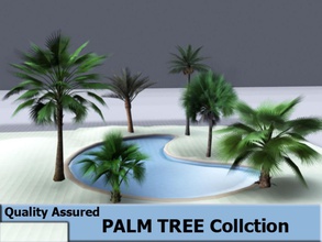 alberi di palma spiaggia club 360 noce cocco collezione il dessert ambienti esotici vacanza giungla modello natura oceano la pianta piscina resort sabbia mare nuoto albero tropicale legno 3d print model - Mito3D