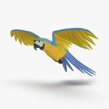 papagaio azul voando animais pássaro o dos desenhos animados de cor doméstica penas voar arara modelo estimação rio janeiro royalmix tropical asa 3d print model - Mito3D