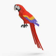 parrot red perching animal bird cartoon color domestic feather macaw model perch pets rio royalmix tropical wing 3d print model - Mito3D