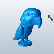 papagaio v1 bobble a cabeça novidades printable lowpoly 3d print model - Mito3D
