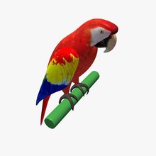 parrot v1 Tiere bedruckbar ist lowpoly 3d print model - Mito3D