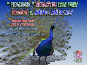 peacock low poly rigged animated animal animation bird bone colorful feather fly game ik lower lowpoly model mustafavangol peaflow rig vfx wing 3d print model - Mito3D