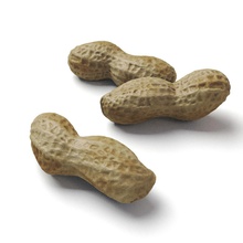 peanut 3d food hires model nature nut peterblack plant realistic scan snack 3d print model - Mito3D