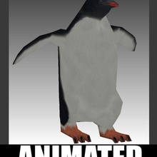 penguen hayvan Antarktika antartida kuş oyun gentoo lowpoly mako san model pinguim polo sul 3d print model - Mito3D