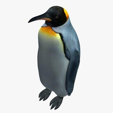 penguin v2 pingüino a los animales imprimible lowpoly 3d print model - Mito3D