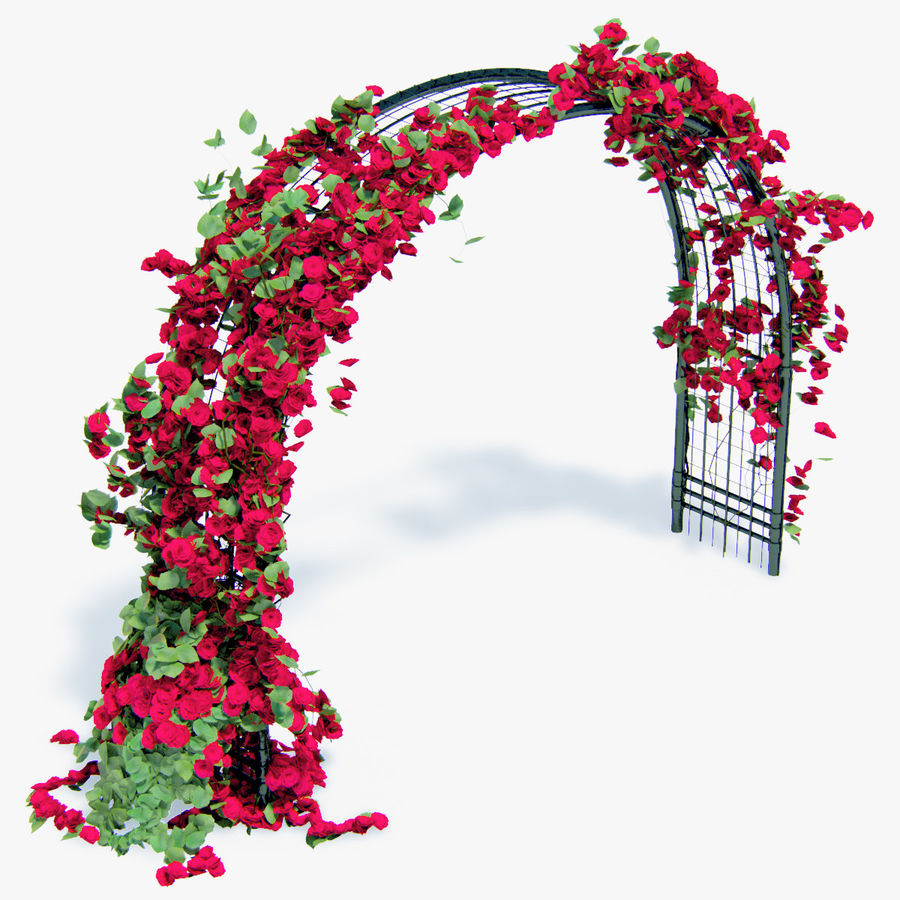 pergolato di rose rampicanti e fiori edera ad arco 3d architettura artyustudio il fiore cespugli la salita elementi giardino casa ivy paesaggio foglia modello all'aperto al fuori pergola rosa arbusti struttura vitigno vray cantiere 3D print model - Mito3D