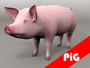 pig 3ds animal aydin3d farm mammal max maya model morelli obj piggy pork porky primate real suine swine 3d print model - Mito3D