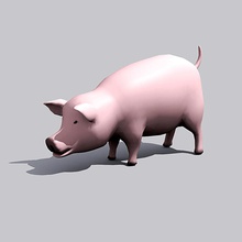 pig animal boar cat cute dirt dog domestic farm fat gayngu high lower lowpoly model mud poly 3d print model - Mito3D