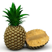 l'ananas ananas coboide les aliments de fruits modèle le pin l'usine sujets tropical la végétation 3d print model - Mito3D