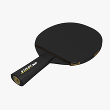 ping pong, raquete bolas coleção equipamento modelo mrhatter remo pingpong pong foguete definir esporte tabela tenis tênis 3d print model - Mito3D