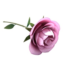 rose rosa bloom il fiore bud firelight studio giardino verde foglia modello petalo la pianta red piccola gambo bianco 3d print model - Mito3D