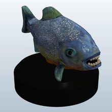 piranha v2 fish aquatic life printable lowpoly 3d print model - Mito3D