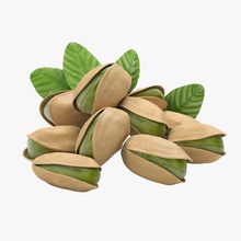 Pistazien Sorte Essen grün kerman kernel Blatt Modell Mutter pistachia pflanze rainsaukas realistisch sind shell snack Baum 3d print model - Mito3D