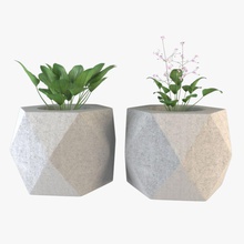 plant ahmad decorative flower green interior model pot talal 3d print model - Mito3D