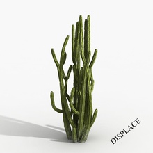 planta de cacto árvore cactus cereus deserto giganteus hd ready modelo saguaro 3d print model - Mito3D