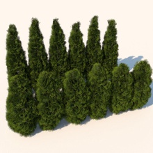 plant cedar bushes fence green hedges ladscaping landscape lawn model red shrubs small topiary tree trueview3d vray western 3d print model - Mito3D