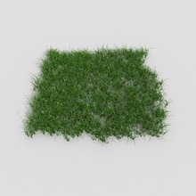 plant grass cover field floor garden green ground hd ready land lawn model outdoor realistic realisticgrass small terrain 3d print model - Mito3D