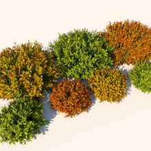 bitki nandina bush çalılar çit yeşil hedges ladscaping manzara çim model küçük ağaç trueview3d 3d print model - Mito3D