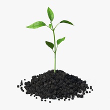 la plante pousse de récolte saleté ferme champ jardin en croissance modèle l'usine royalmix plantule petite sol germer 3d print model - Mito3D