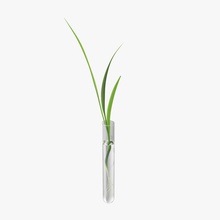 plant test tube biology botany growing highpoly lightmodel lowpoly model science seedling small sprout vegetable vegetated vegetation wheat 3d print model - Mito3D