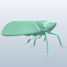 planthopper v2 Insekten bedruckbar ist lowpoly 3d print model - Mito3D