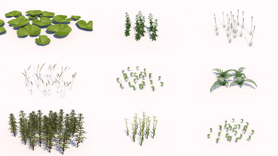 plantes - lowpoly différentes de la faune fougère flore fleur bas modèle nature pack pflanze l'usine poly petite d'arbre en arbre turbodiego 3D print model - Mito3D