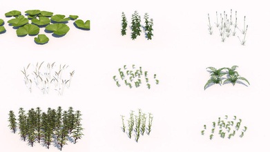 plantas - lowpoly diferentes fauna helecho la flora de flor inferior modelo naturaleza pack pflanze planta poli pequeño árbol turbodiego 3d print model - Mito3D