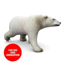 polar bear Tier Arktis tragen Ungeheuer Biologie Kreis Haar Karte Modell neee dlc poly polygonal predator rig weiß wild zoo 3d print model - Mito3D