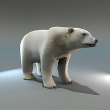 polar bear Tier Arktis tragen Ungeheuer Biologie Kreis Haar Karte Modell neee dlc poly polygonal predator weiß wild zoo 3d print model - Mito3D
