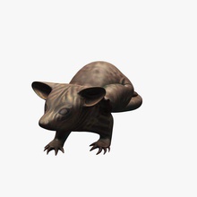 possum v1 statue statues busts printable lowpoly 3d print model - Mito3D