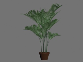 pentola di palma botanico cespugli fiore la foresta paesaggio foglia modello natura nik23648 pianta pot piccola albero il vaso vegetazione 3d print model - Mito3D