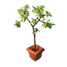 pote planta adam a decoração o detalhe evergreen jogo erva inferior de malha modelo natural natureza poli adereços arbustos pequena árvore vittoz 3d print model - Mito3D