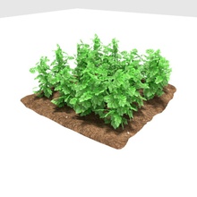 potato 3 growth stages blenderblock farm growing model plant sapling small stage three 3d print model - Mito3D