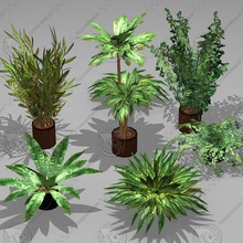 plante en pot pack 7 de l'architecture les buissons éléments jeu bas modèle la nature l'usine poly prêt chambre petite unrealfcy 3d print model - Mito3D