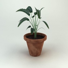 une plante en pot cotta david turner jardin de la verdure paysage pelouse l'usine petite terra terre cuite d'arbre arbre 3d print model - Mito3D