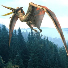 pterosaur ancient andersseim animal character dinosaurs dragon flaps flight fly glide lizards marine model pteranodon wing 3d print model - Mito3D