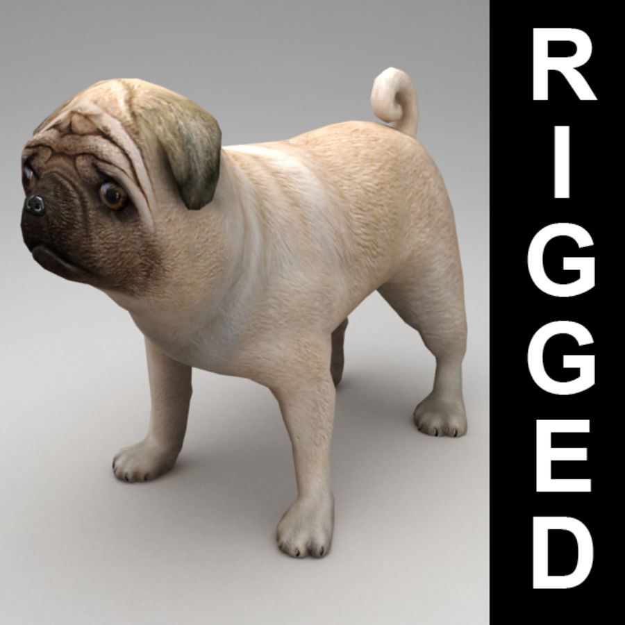pug rigged animal beast bone bulldog canine dog hounds kvakling lowpoly mammal mib model mop pets pitbull rig 3D print model - Mito3D