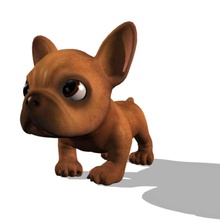 Welpen model-Gesicht verwandelt Tier bulldog canine Charakter chihuahua Niedlich Hund Ohr Gesicht fishzombie Französisch frenchie Runde Modell morph obj Haustiere die Phoneme Mops pup klein lächeln textur urban 3d print model - Mito3D