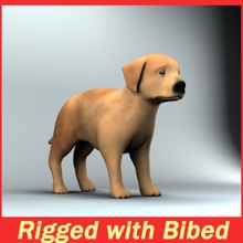 puppy 3deverart animal canine dog mammal pets texture 3d print model - Mito3D