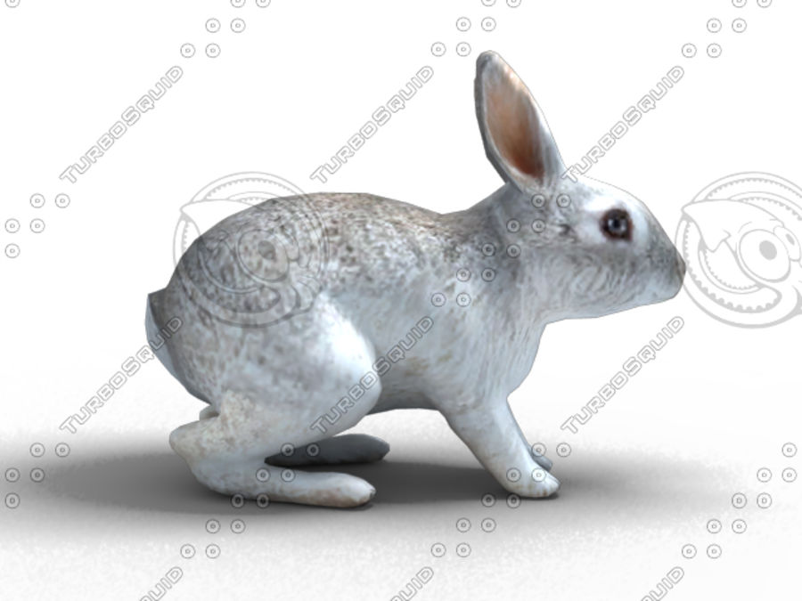 rabbit bunny animal hare animation bear cat feline model rabbits sunbing5201 3D print model - Mito3D