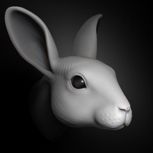 rabbit head 2019 anatomy animal assets base body caliskanuzay character game human kit lower mesh model poly rabbits 3d print model - Mito3D