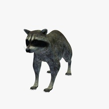racoon v1 raccoon animals printable lowpoly 3d print model - Mito3D